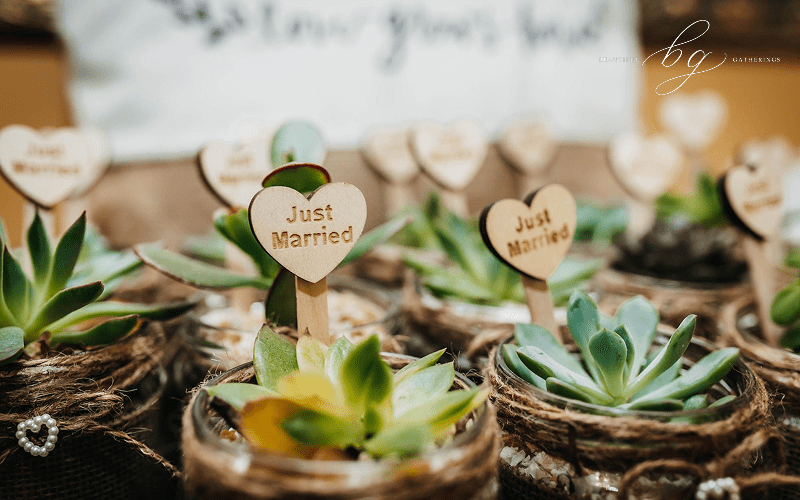 Sustainable succulent wedding favors for an eco-friendly celebration.